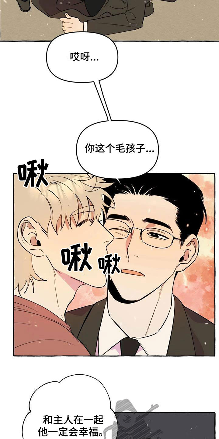 《忠犬三三》漫画最新章节第27章：最后一天免费下拉式在线观看章节第【19】张图片