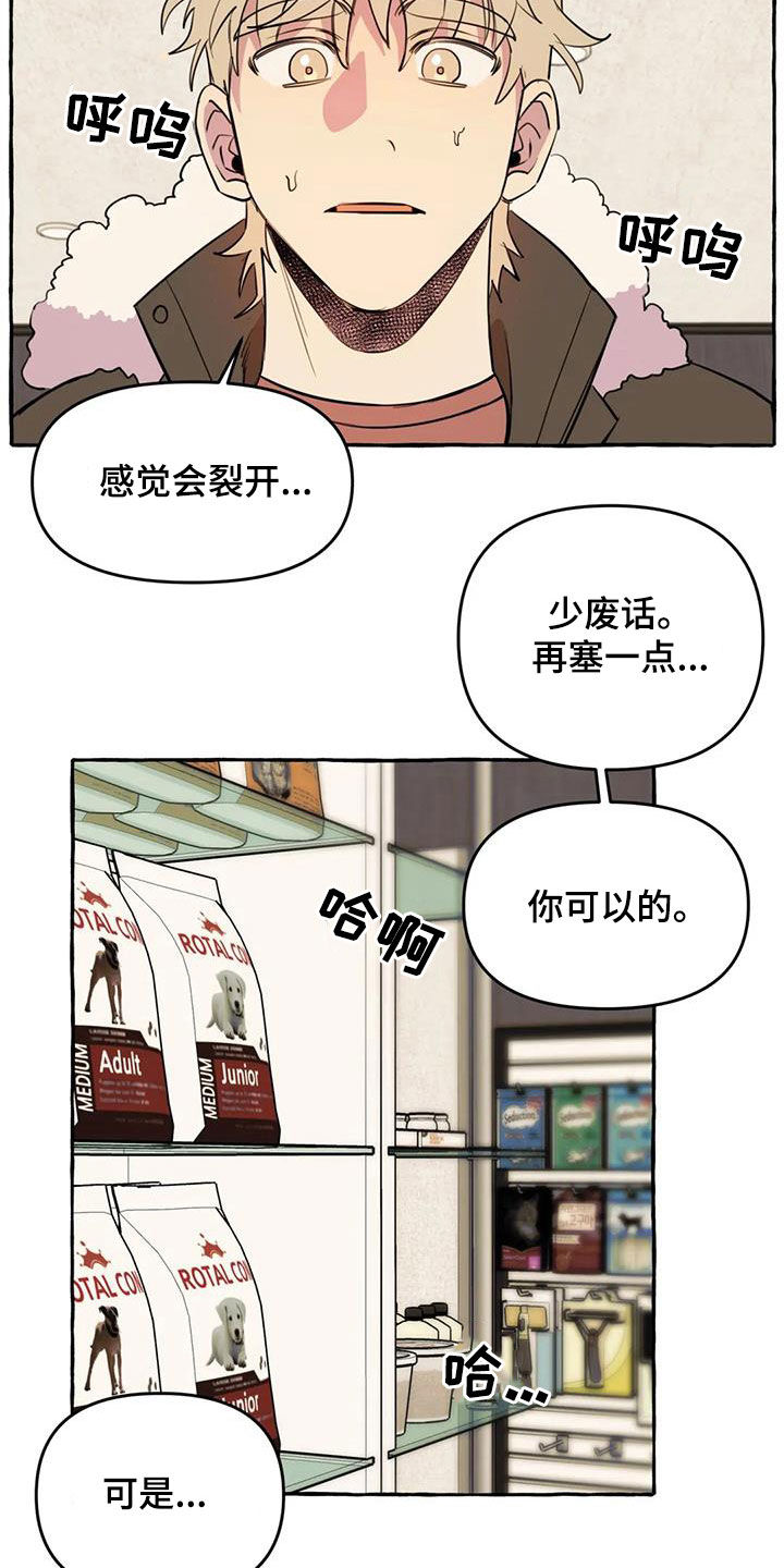 《忠犬三三》漫画最新章节第27章：最后一天免费下拉式在线观看章节第【13】张图片