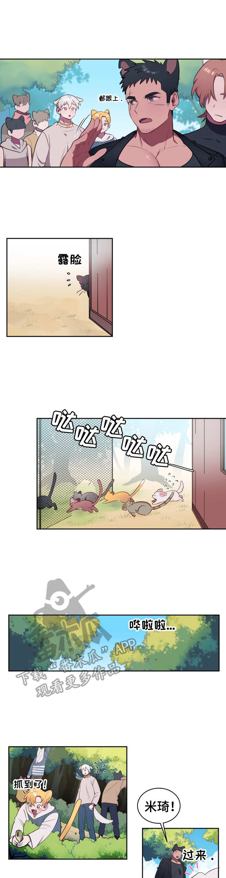 《阿旺阿喵》漫画最新章节第3章：寻找食物免费下拉式在线观看章节第【4】张图片