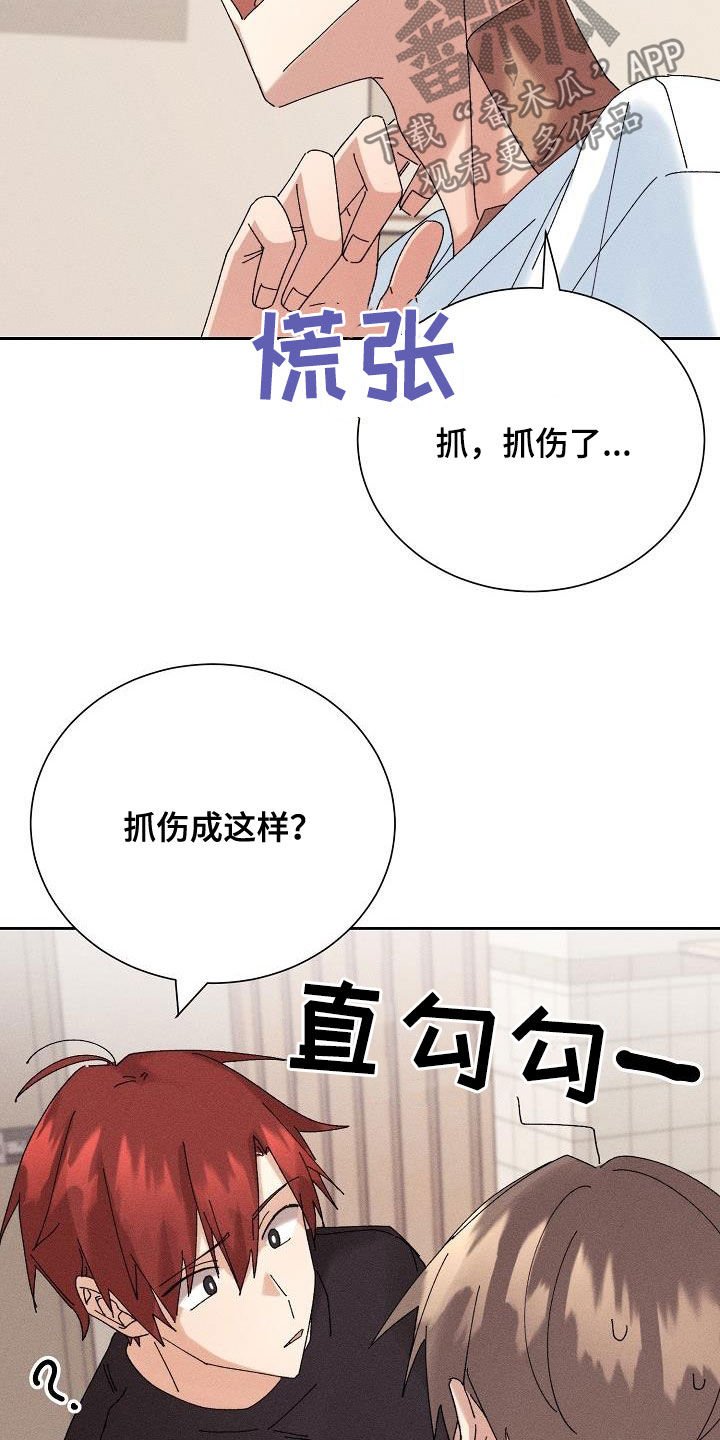 《失忆陷阱》漫画最新章节第21章：少管闲事免费下拉式在线观看章节第【8】张图片