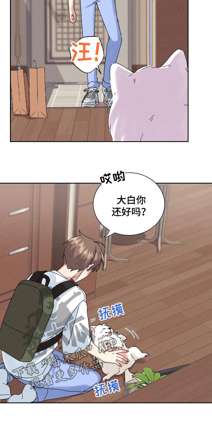 《失忆陷阱》漫画最新章节第31章：有喜欢的人免费下拉式在线观看章节第【20】张图片