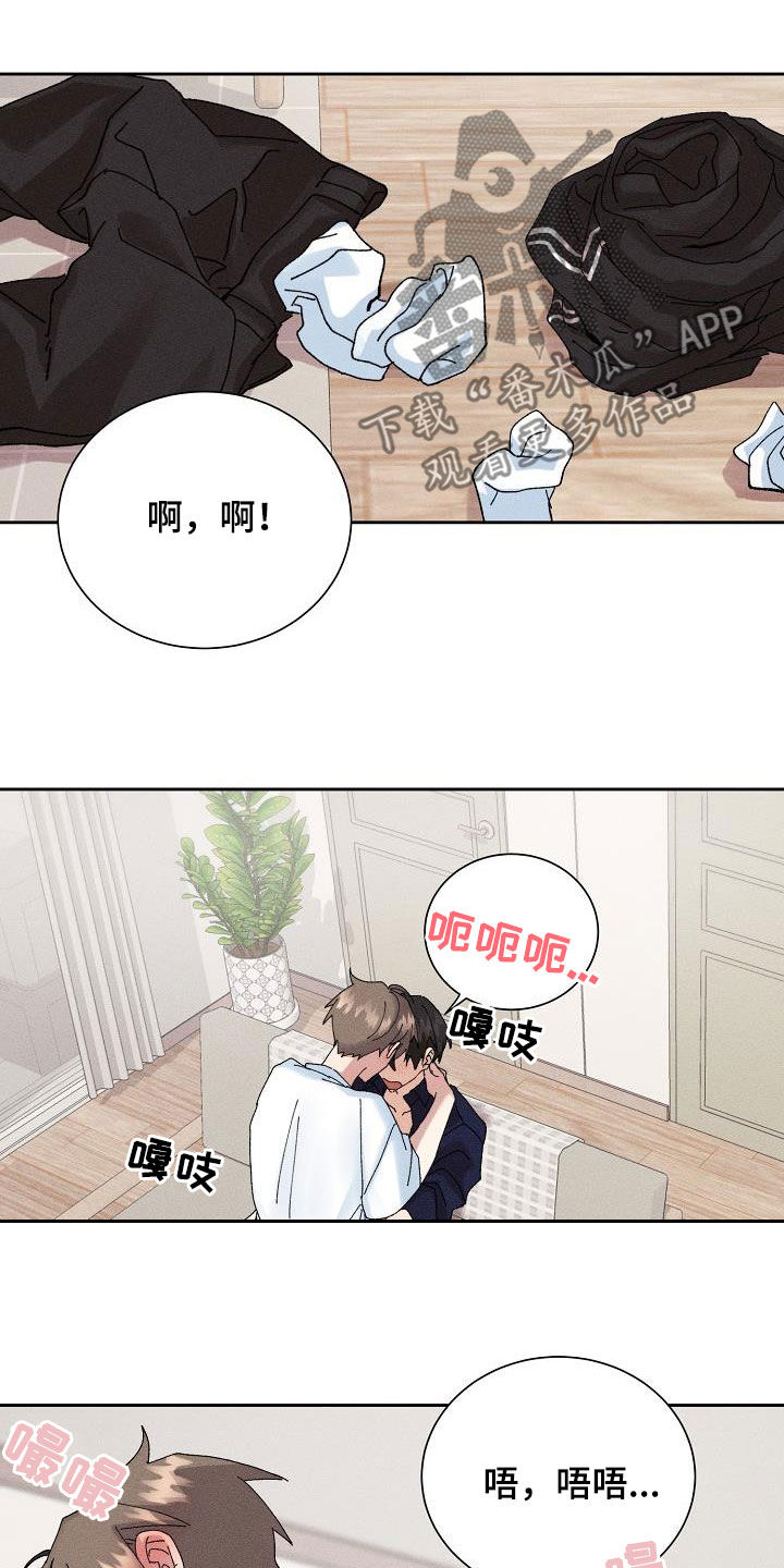 《失忆陷阱》漫画最新章节第52章：【番外】幸福免费下拉式在线观看章节第【20】张图片