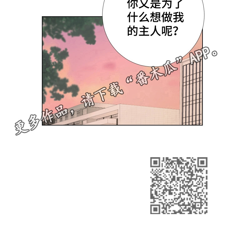 《爱与激情之间》漫画最新章节第21章：疑问免费下拉式在线观看章节第【1】张图片