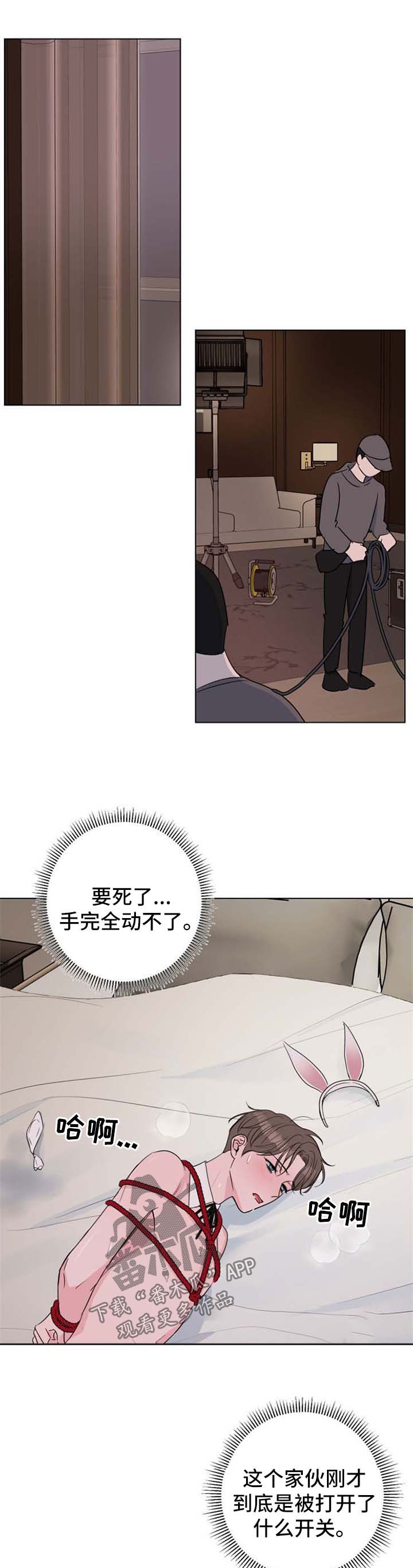 《爱与激情之间》漫画最新章节第28章：驯服免费下拉式在线观看章节第【6】张图片