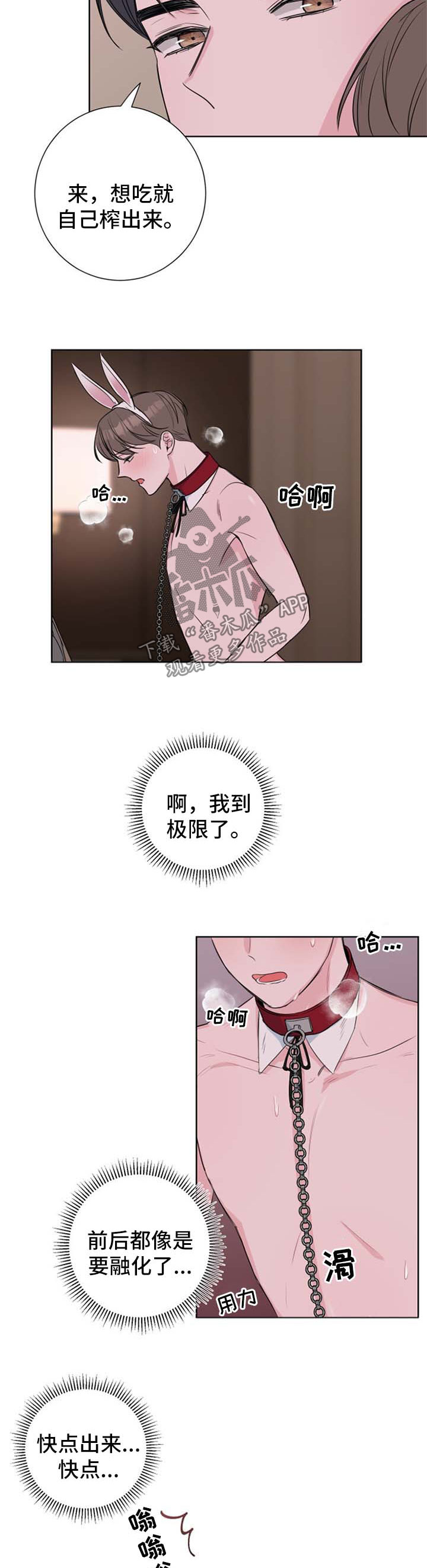 《爱与激情之间》漫画最新章节第28章：驯服免费下拉式在线观看章节第【8】张图片