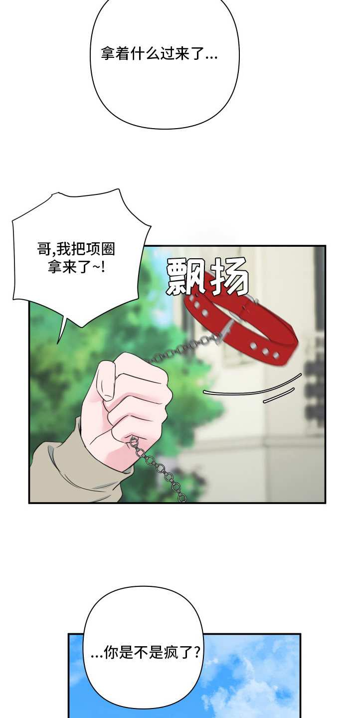 《爱与激情之间》漫画最新章节第53章：【第二季】号码免费下拉式在线观看章节第【7】张图片