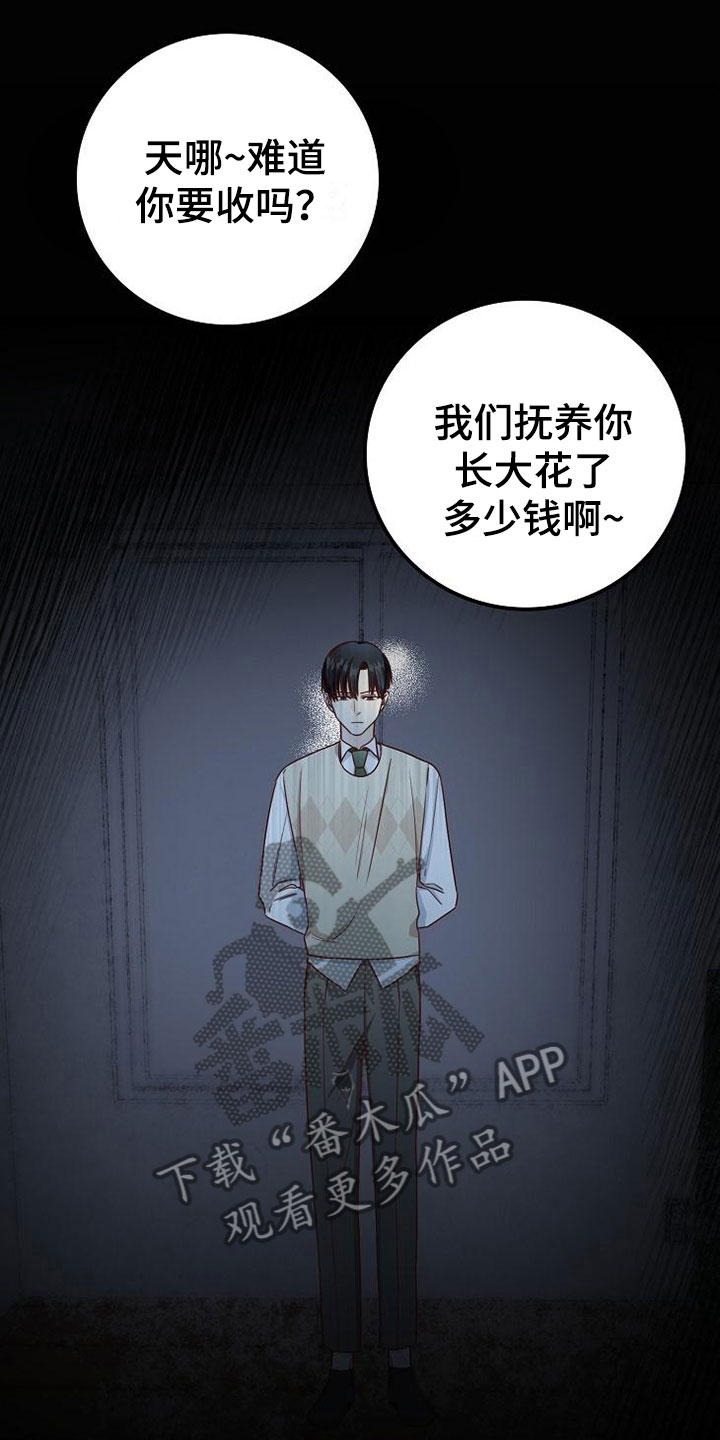 《天降横祸》漫画最新章节第11章：过去的日子免费下拉式在线观看章节第【15】张图片