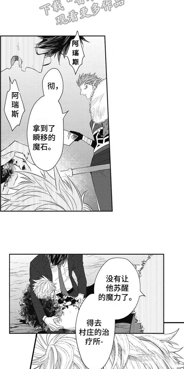 《我和骑士在一起》漫画最新章节第14章：挡刀免费下拉式在线观看章节第【3】张图片