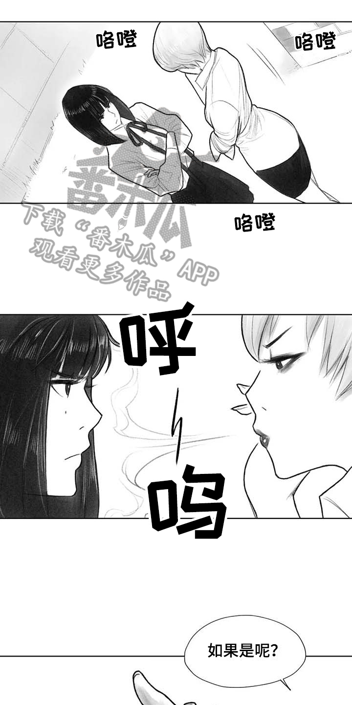 《断翼之歌》漫画最新章节第38章：嚣张免费下拉式在线观看章节第【4】张图片