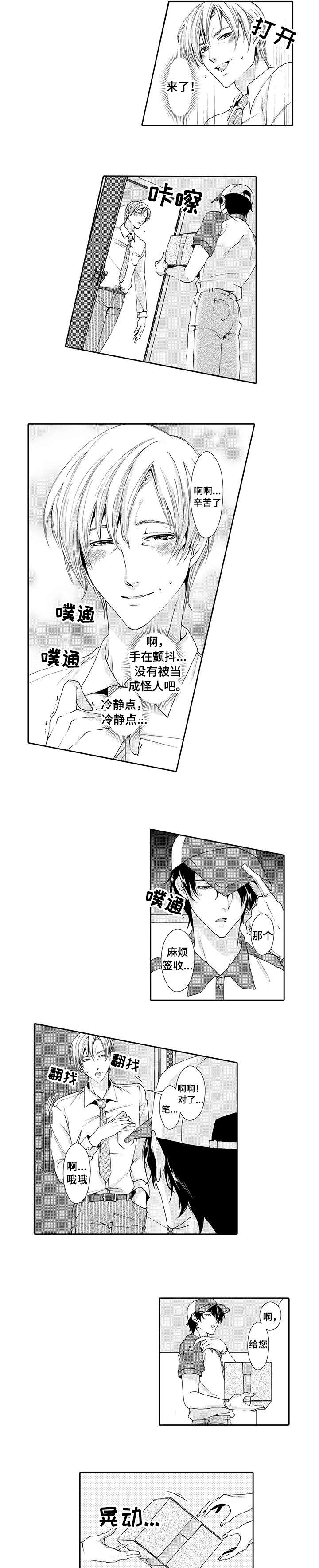 《与他一同堕落》漫画最新章节第1章：快递免费下拉式在线观看章节第【4】张图片