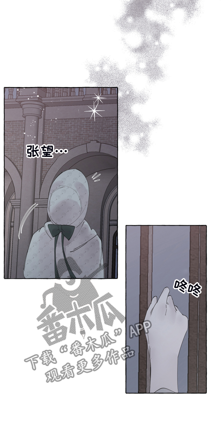 《盛情邀约》漫画最新章节第101章：【番外】从未喜欢过免费下拉式在线观看章节第【15】张图片