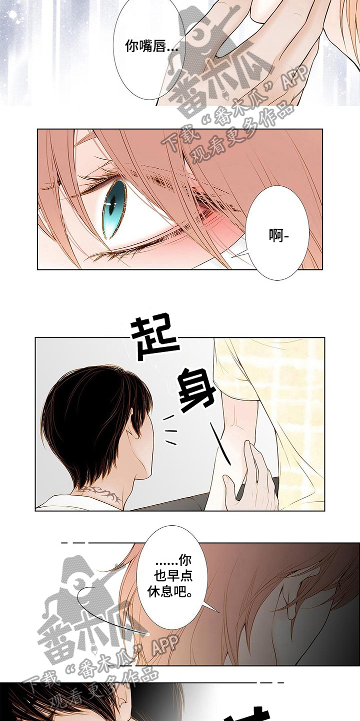 《灵魂争夺》漫画最新章节第8章：包扎免费下拉式在线观看章节第【3】张图片