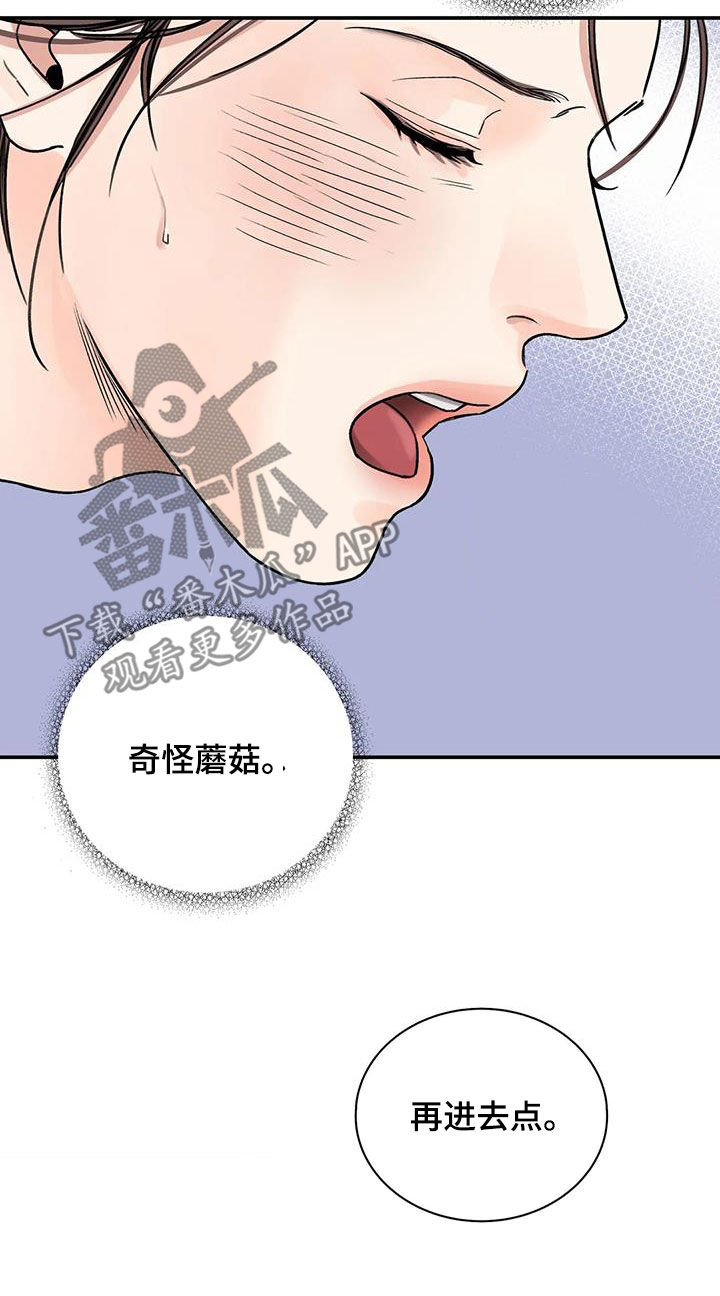 《血泪交织》漫画最新章节第57章：【第二季】专属免费下拉式在线观看章节第【31】张图片