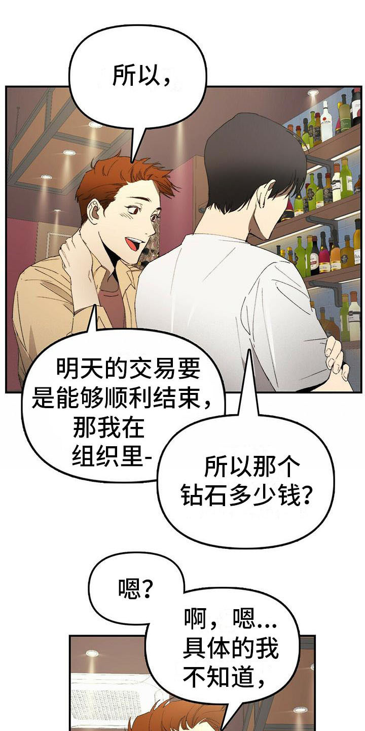 《钻石神偷》漫画最新章节第2章：条件免费下拉式在线观看章节第【11】张图片