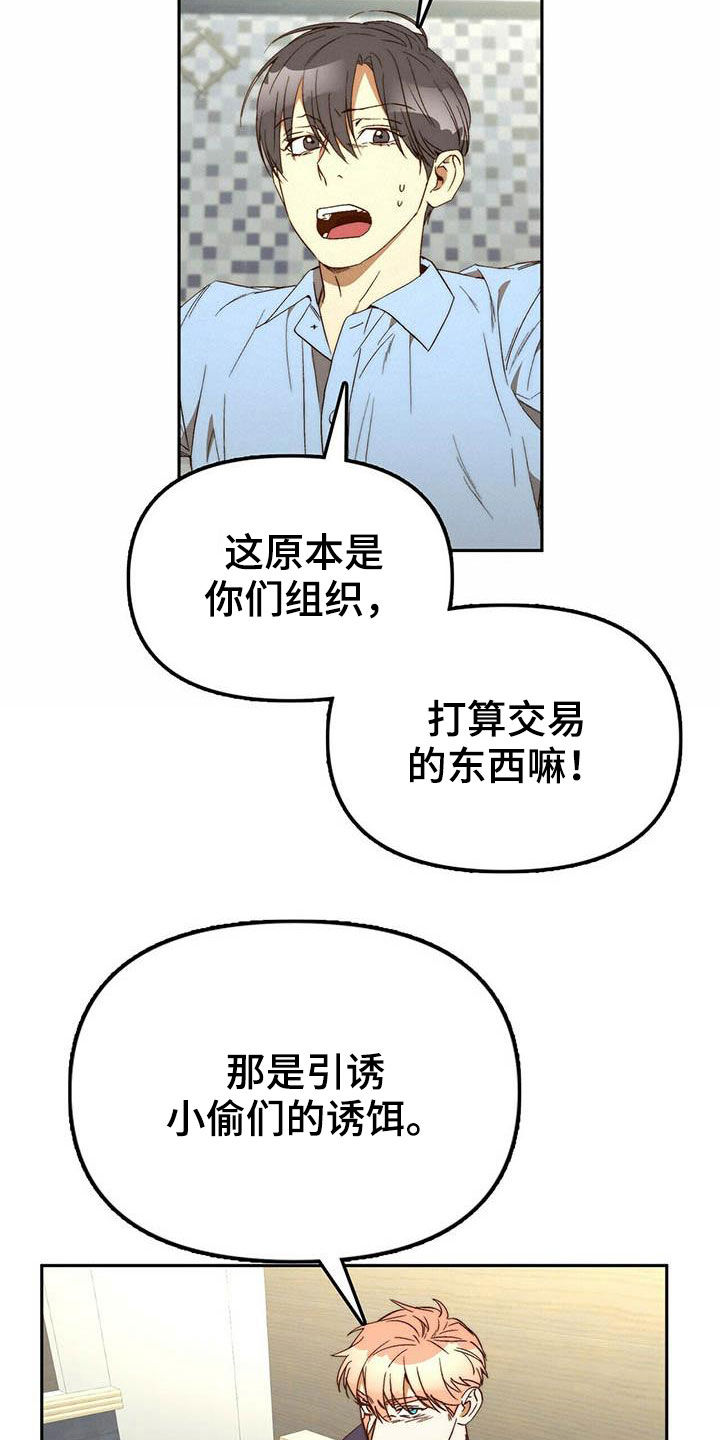 《钻石神偷》漫画最新章节第35章：二选一免费下拉式在线观看章节第【14】张图片