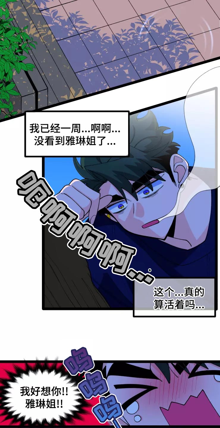 《融化的蛋糕》漫画最新章节第34章：收藏品免费下拉式在线观看章节第【13】张图片