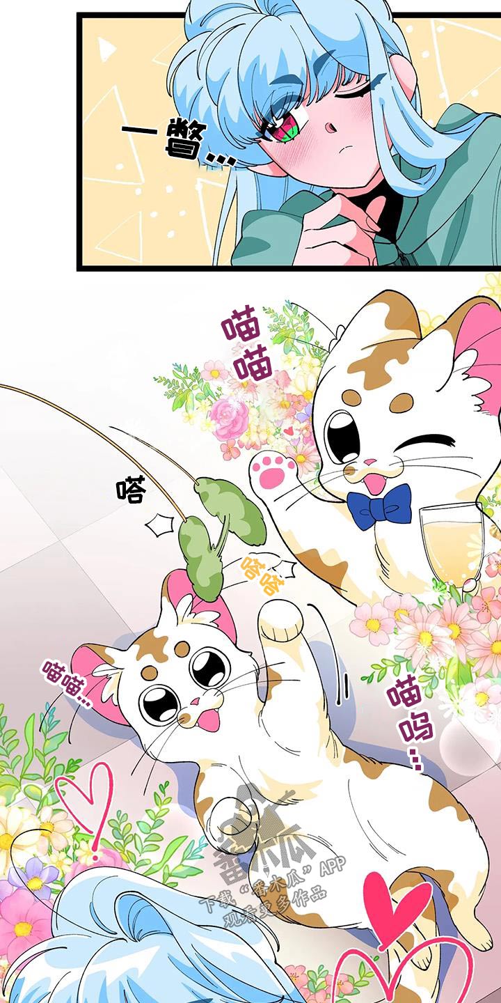 《融化的蛋糕》漫画最新章节第56章：【番外】小猫免费下拉式在线观看章节第【8】张图片