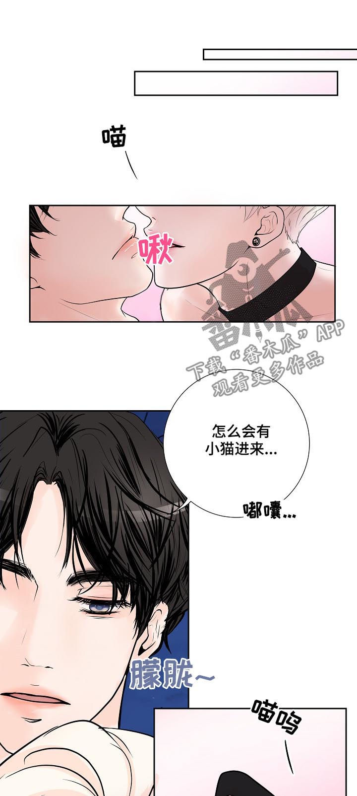 《产品试用员》漫画最新章节第38章：小猫免费下拉式在线观看章节第【4】张图片