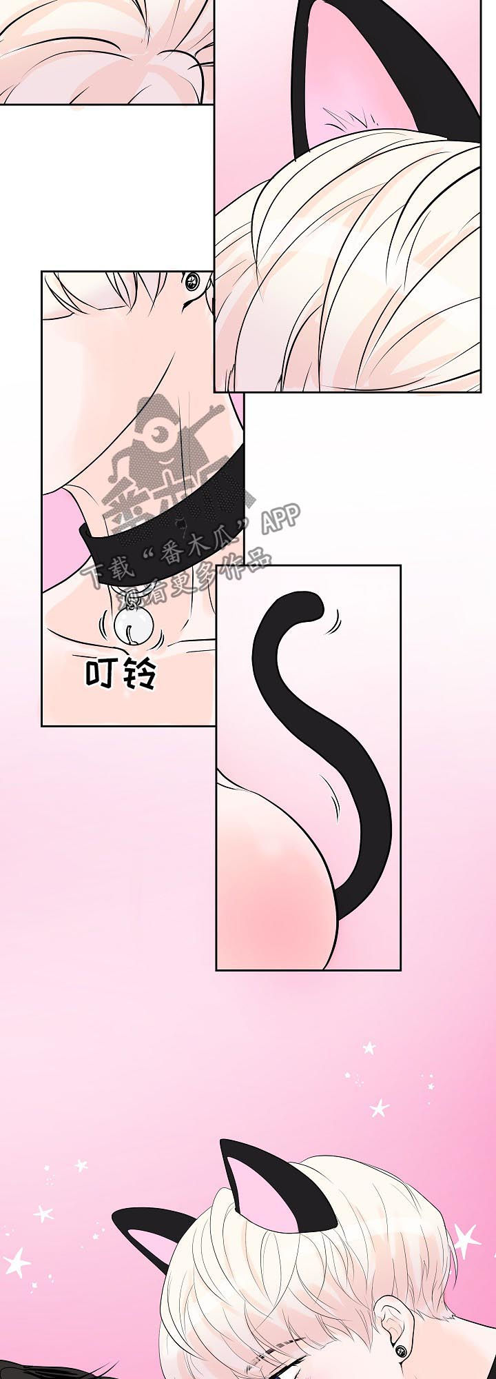 《产品试用员》漫画最新章节第38章：小猫免费下拉式在线观看章节第【3】张图片