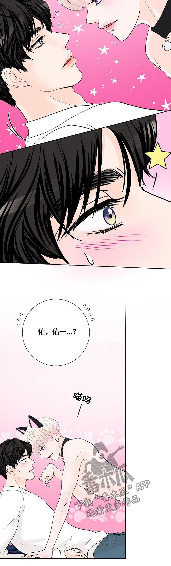 《产品试用员》漫画最新章节第38章：小猫免费下拉式在线观看章节第【2】张图片