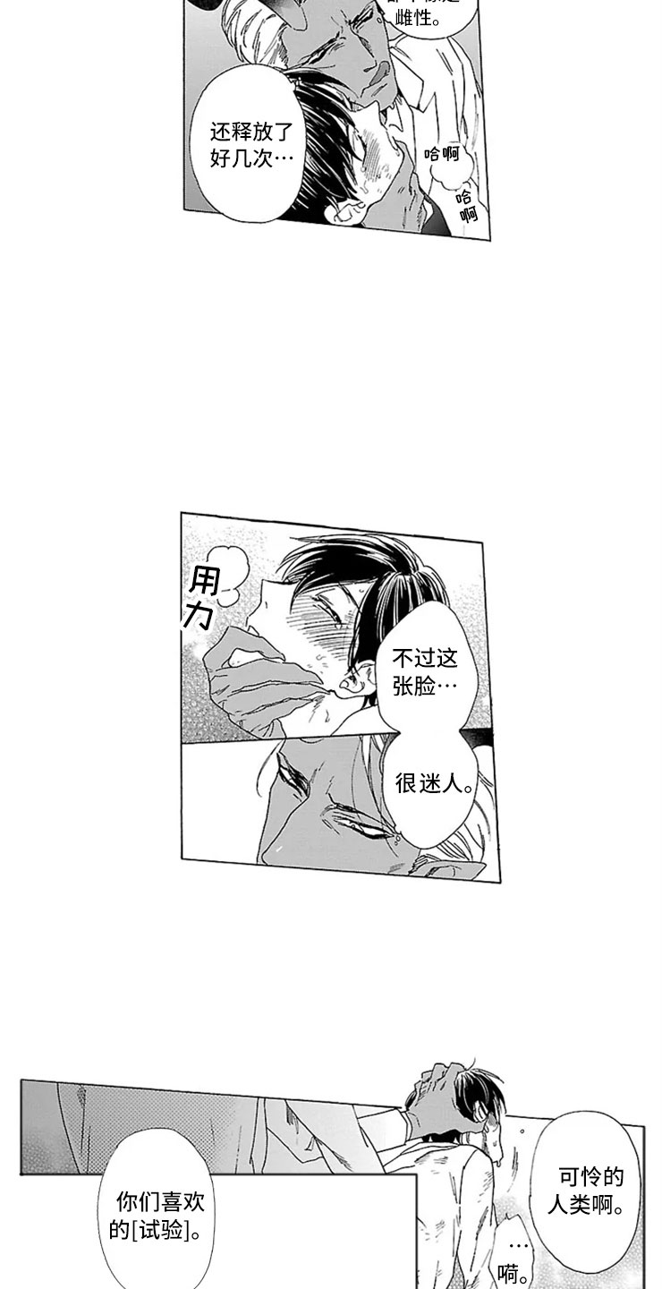 《我们的相遇》漫画最新章节第13章：试验免费下拉式在线观看章节第【3】张图片