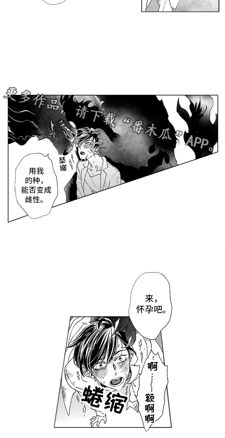 《我们的相遇》漫画最新章节第13章：试验免费下拉式在线观看章节第【2】张图片