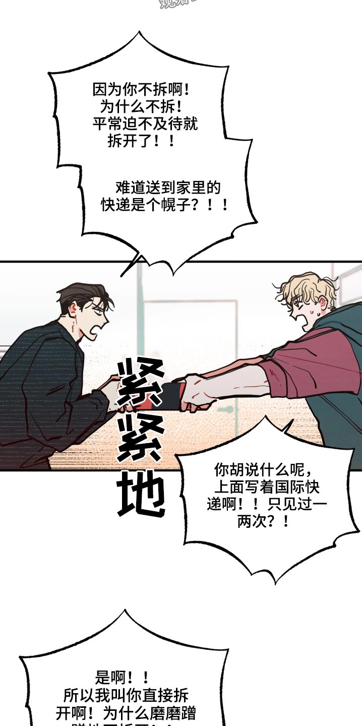 《初恋理念》漫画最新章节第17章：【番外】快递免费下拉式在线观看章节第【2】张图片