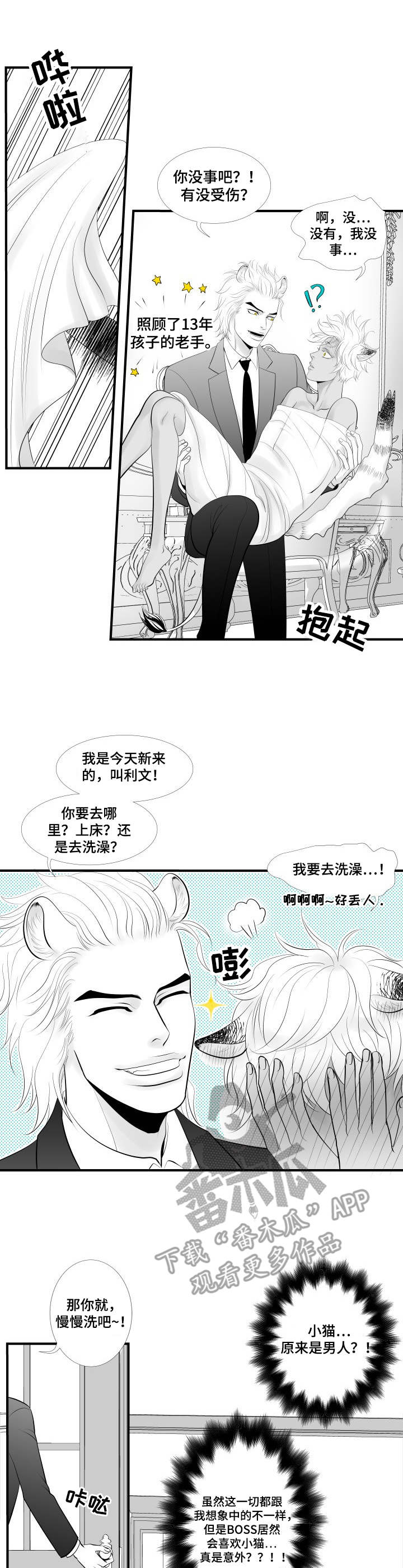 《死路》漫画最新章节第2章：误会免费下拉式在线观看章节第【5】张图片