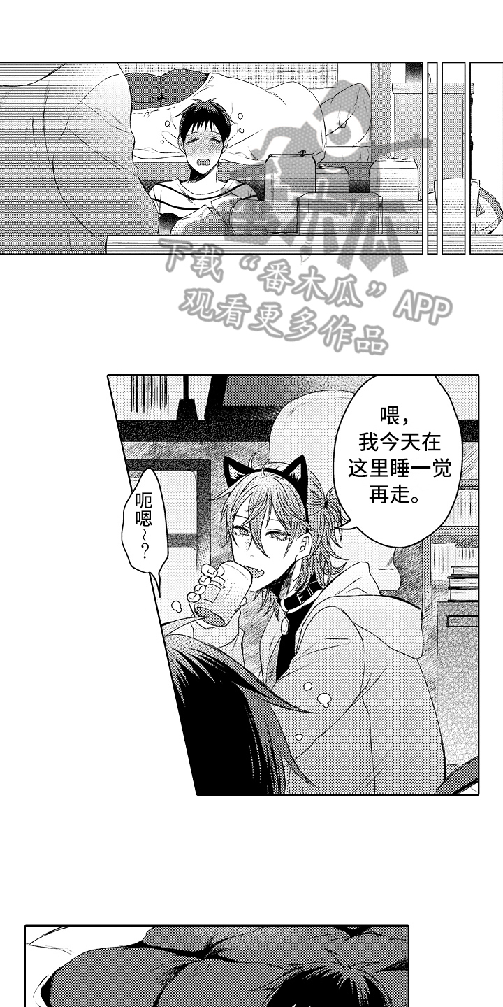 《我会喵喵叫》漫画最新章节第5章：喜欢的事情免费下拉式在线观看章节第【14】张图片