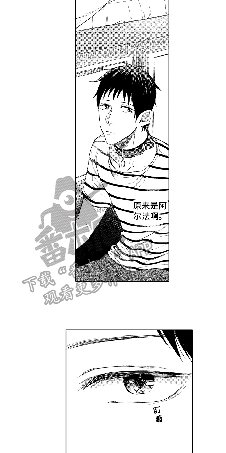 《我会喵喵叫》漫画最新章节第6章：阿尔法免费下拉式在线观看章节第【9】张图片