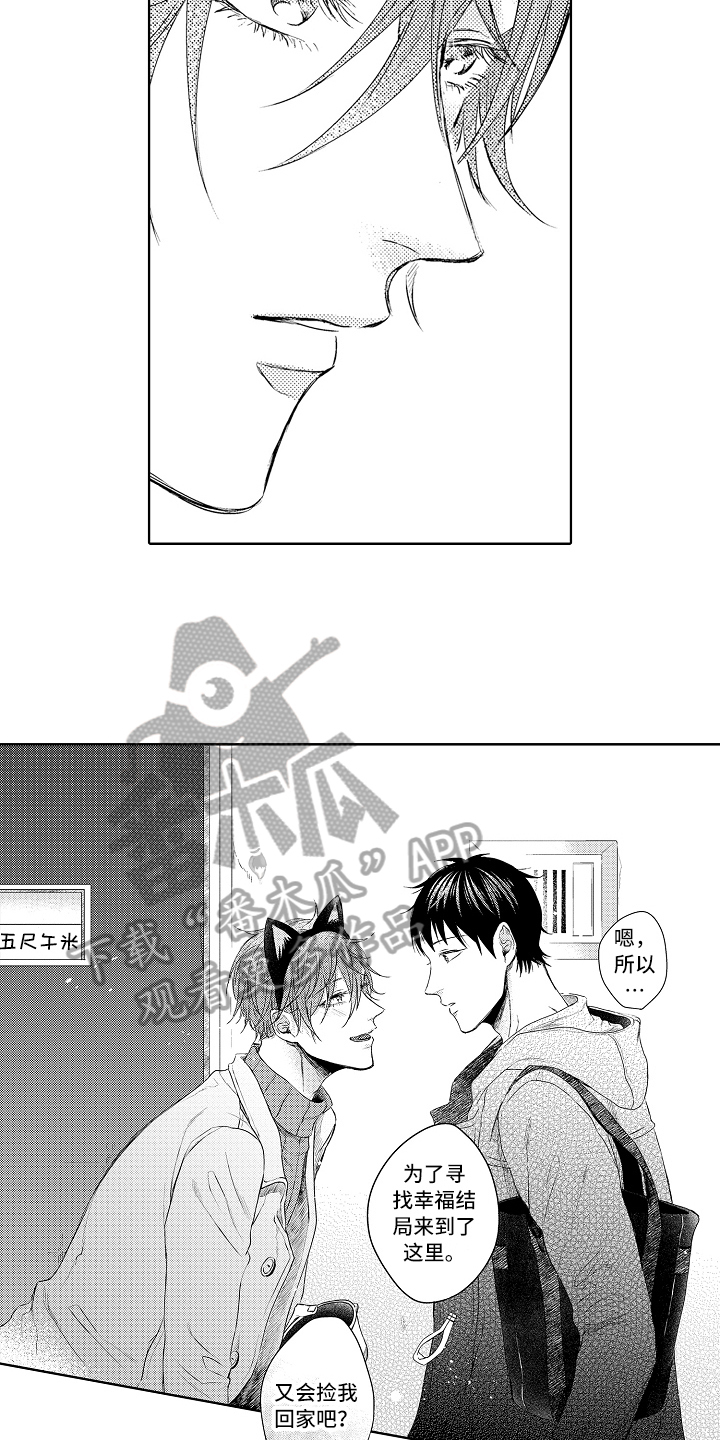 《我会喵喵叫》漫画最新章节第34章：回来了免费下拉式在线观看章节第【3】张图片