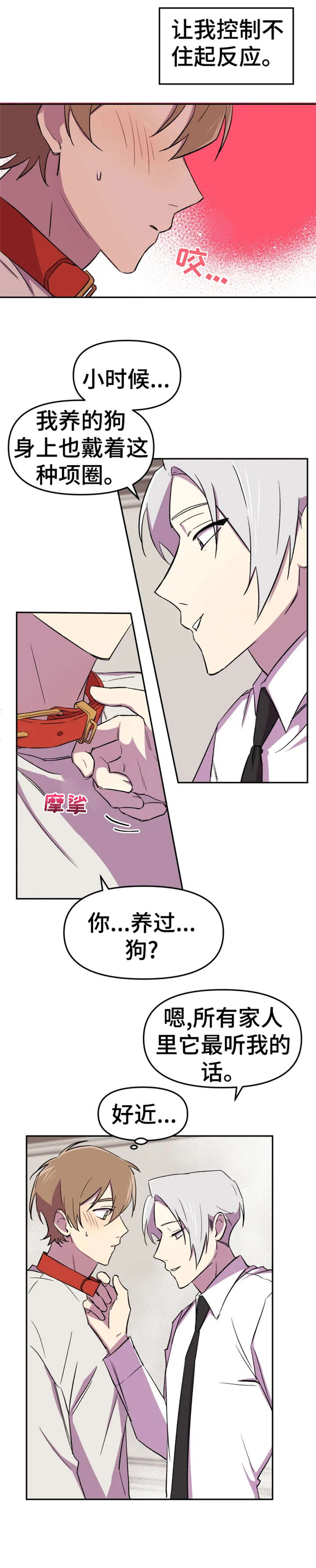 《可疑的信徒》漫画最新章节第11章：狗狗免费下拉式在线观看章节第【9】张图片