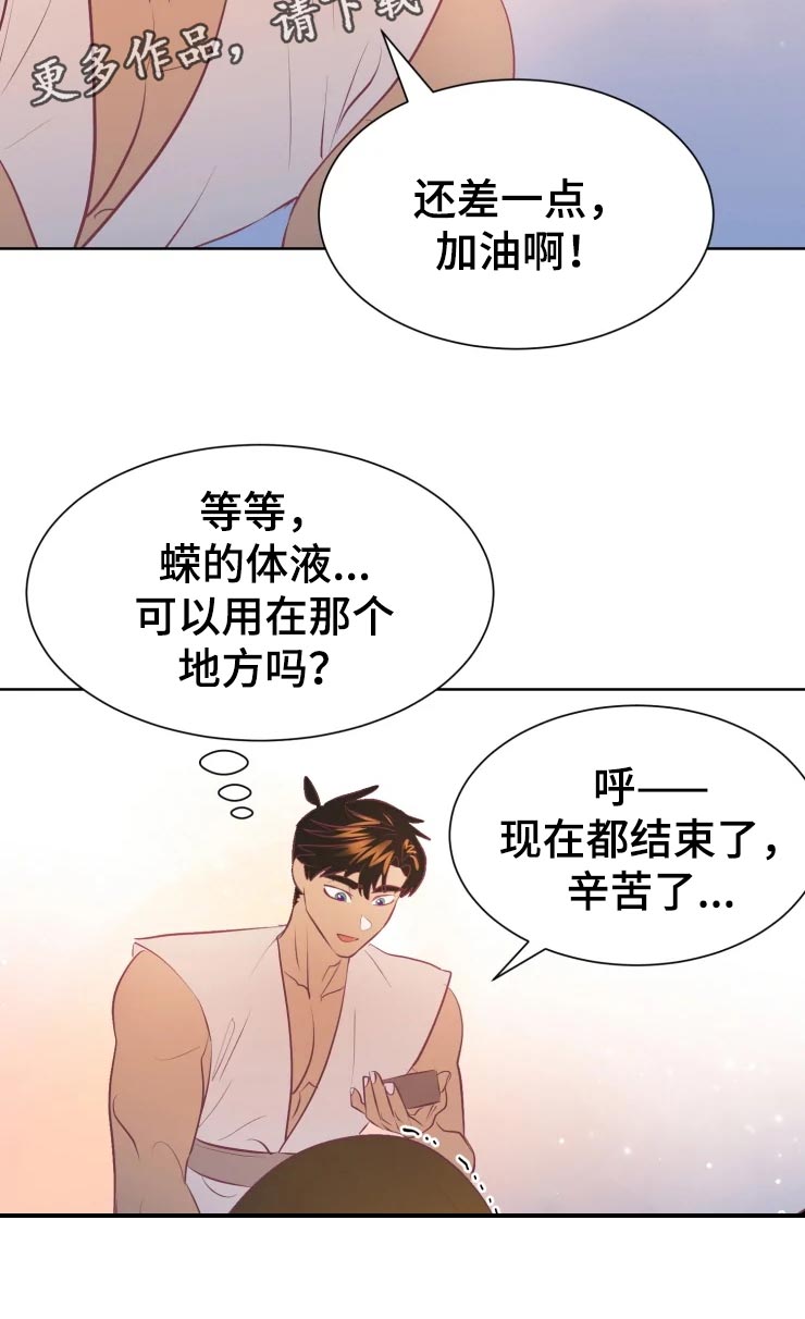 《海市王国》漫画最新章节第20章：最好的治疗师免费下拉式在线观看章节第【17】张图片