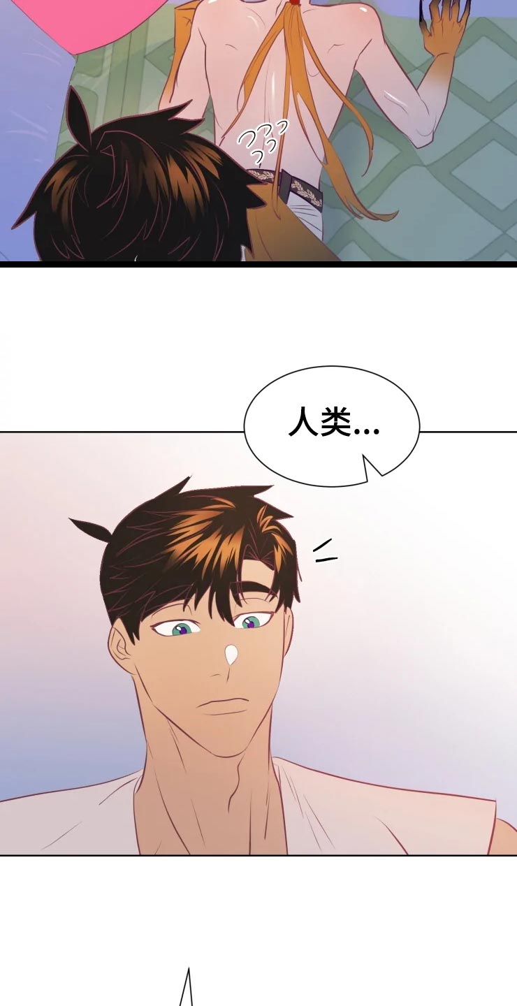 《海市王国》漫画最新章节第20章：最好的治疗师免费下拉式在线观看章节第【15】张图片