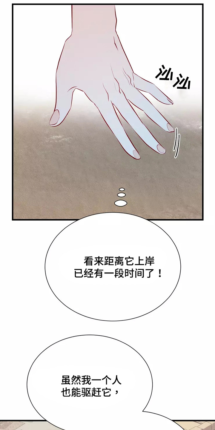 《海市王国》漫画最新章节第49章：快跑免费下拉式在线观看章节第【4】张图片