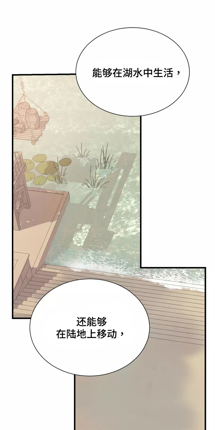 《海市王国》漫画最新章节第49章：快跑免费下拉式在线观看章节第【9】张图片