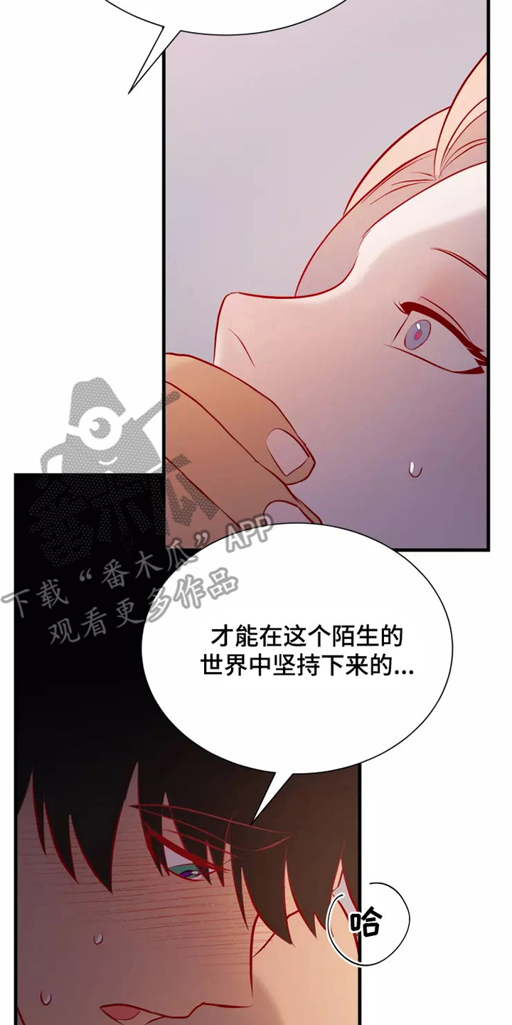 《海市王国》漫画最新章节第54章：一见钟情免费下拉式在线观看章节第【19】张图片