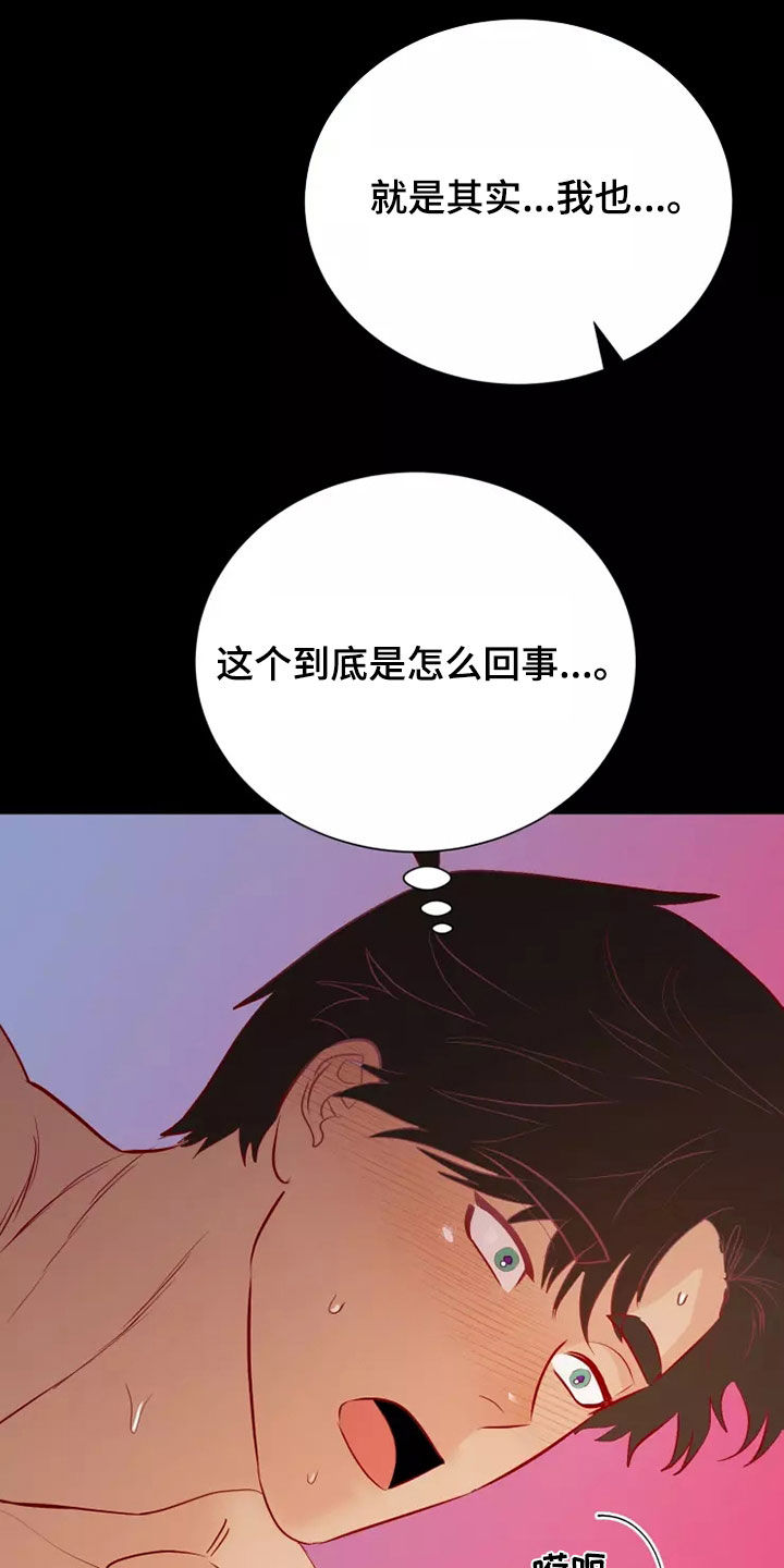 《海市王国》漫画最新章节第71章：没能说的事情免费下拉式在线观看章节第【5】张图片