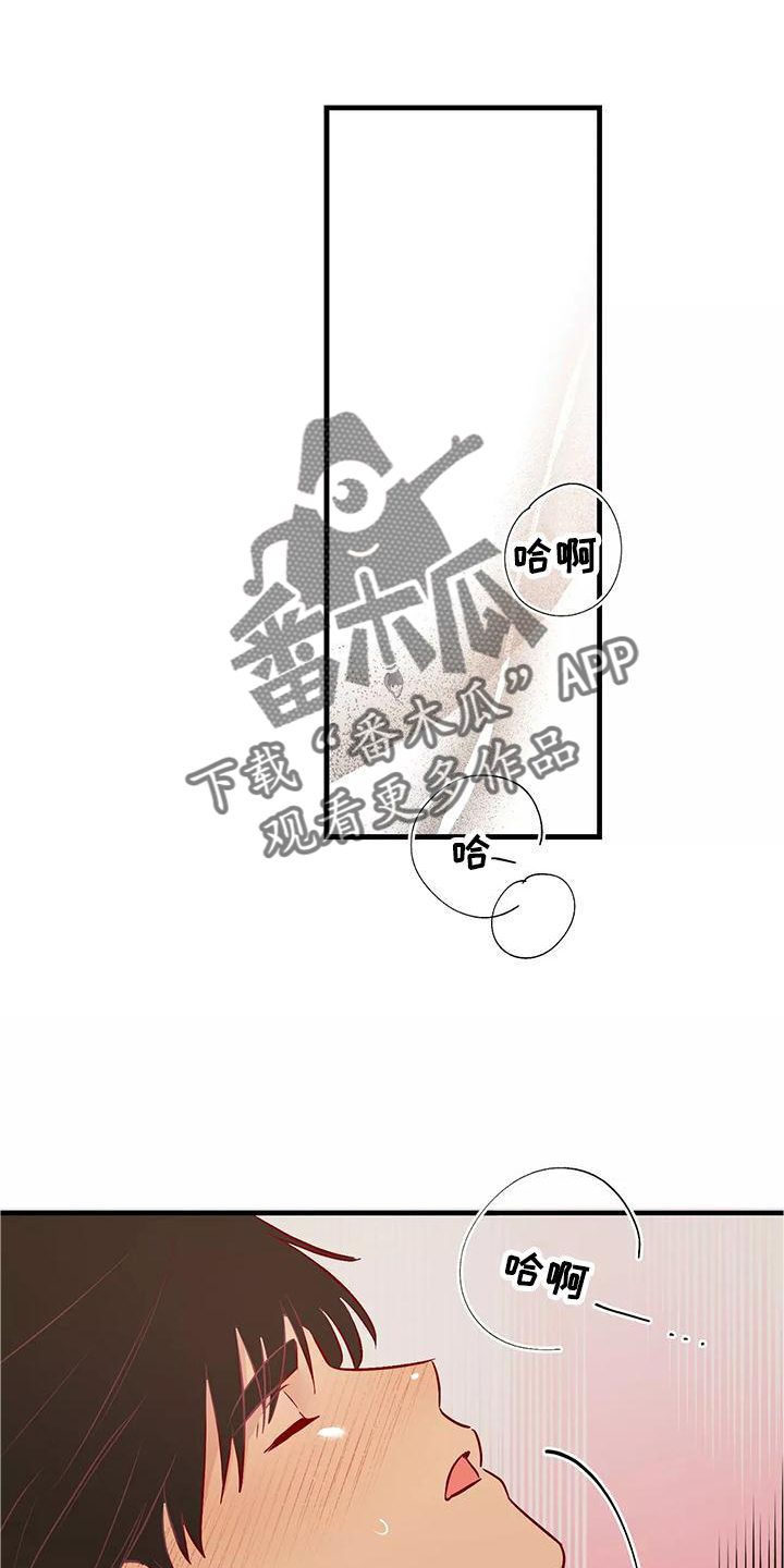 《海市王国》漫画最新章节第84章：互相的心意免费下拉式在线观看章节第【12】张图片