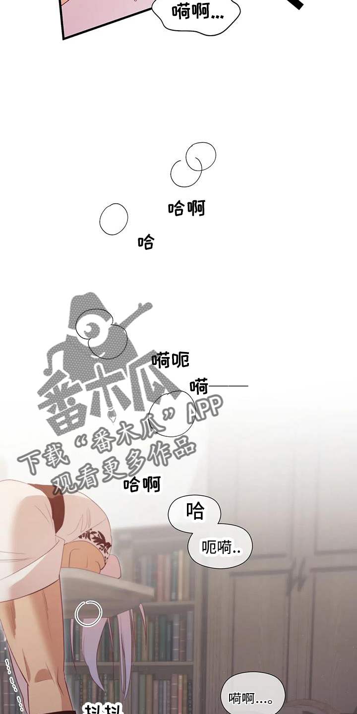 《海市王国》漫画最新章节第128章：老样子免费下拉式在线观看章节第【13】张图片