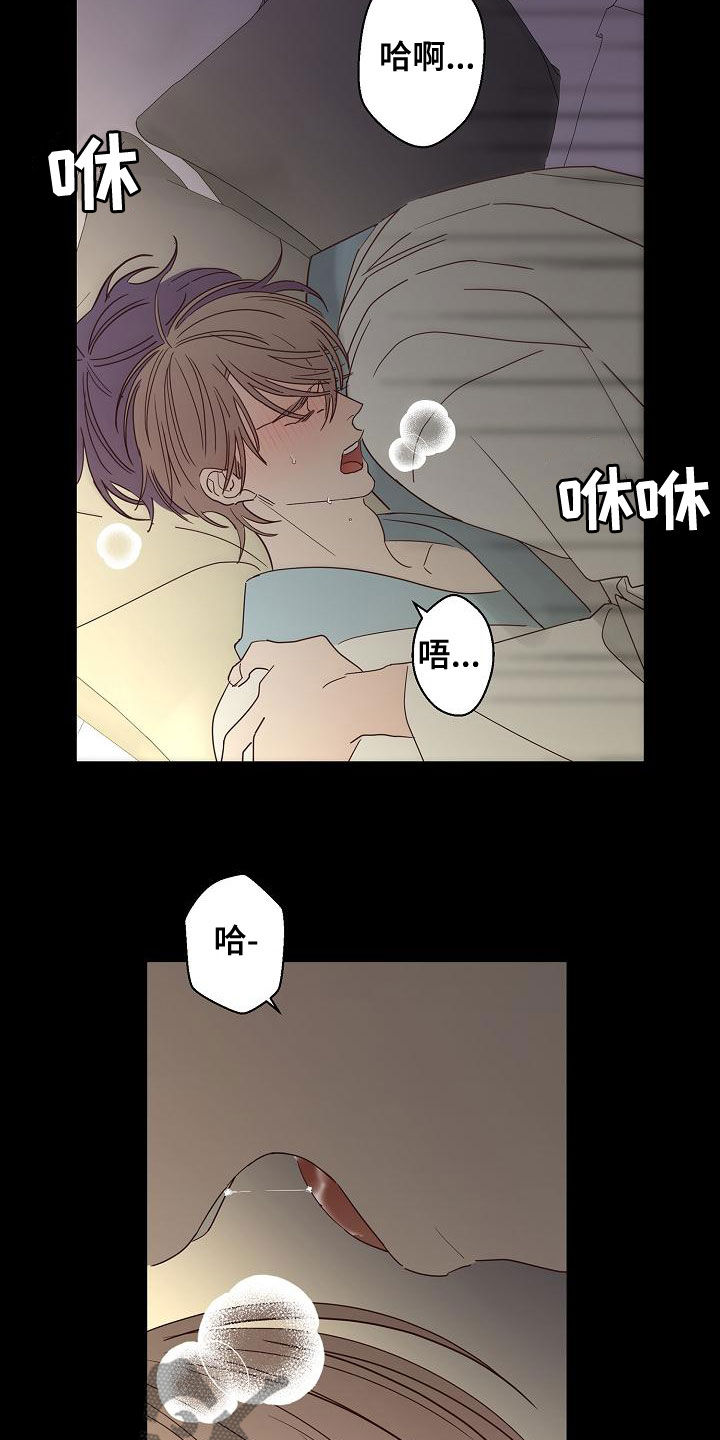 《贝塔的报恩》漫画最新章节第33章：还想继续免费下拉式在线观看章节第【4】张图片