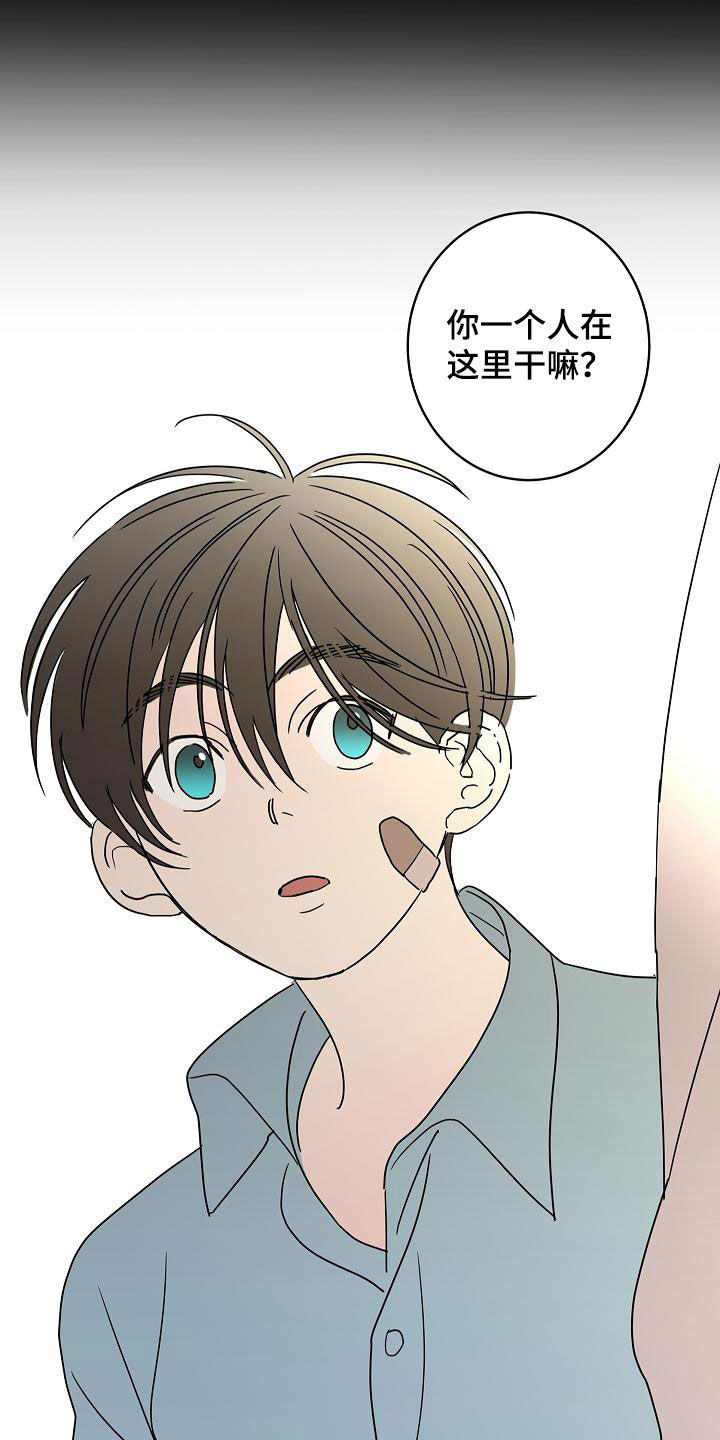 《贝塔的报恩》漫画最新章节第40章：私生子免费下拉式在线观看章节第【7】张图片