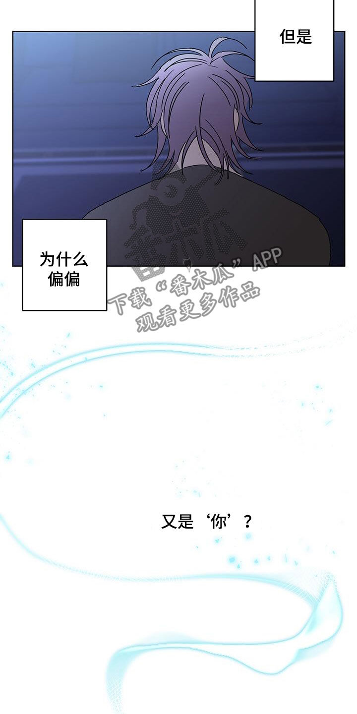 《贝塔的报恩》漫画最新章节第63章：调查（第一季完结）免费下拉式在线观看章节第【8】张图片