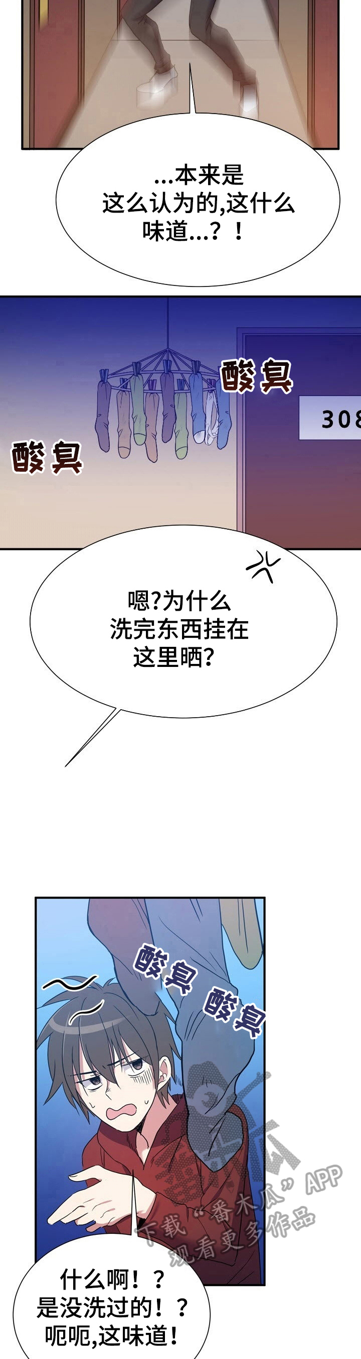 《秩序扰乱者》漫画最新章节第15章：好奇免费下拉式在线观看章节第【6】张图片