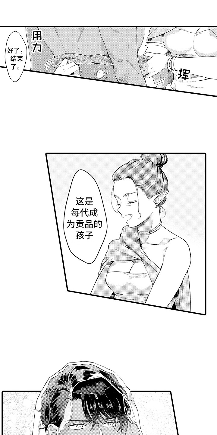 《献给鲨鱼家族》漫画最新章节第6章：贡品免费下拉式在线观看章节第【9】张图片