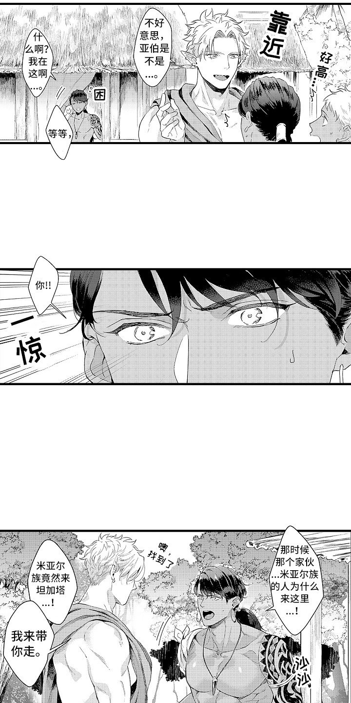 《献给鲨鱼家族》漫画最新章节第6章：贡品免费下拉式在线观看章节第【3】张图片