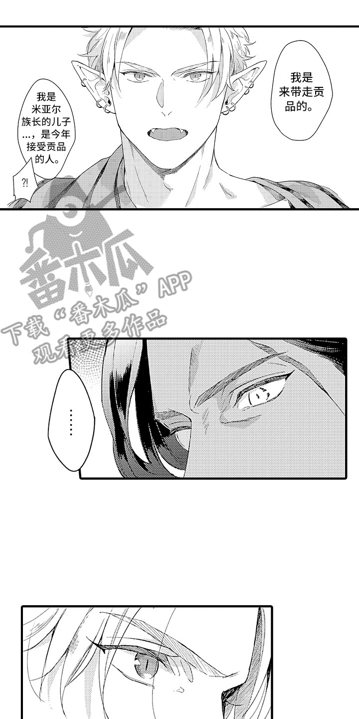 《献给鲨鱼家族》漫画最新章节第7章：婚礼免费下拉式在线观看章节第【11】张图片