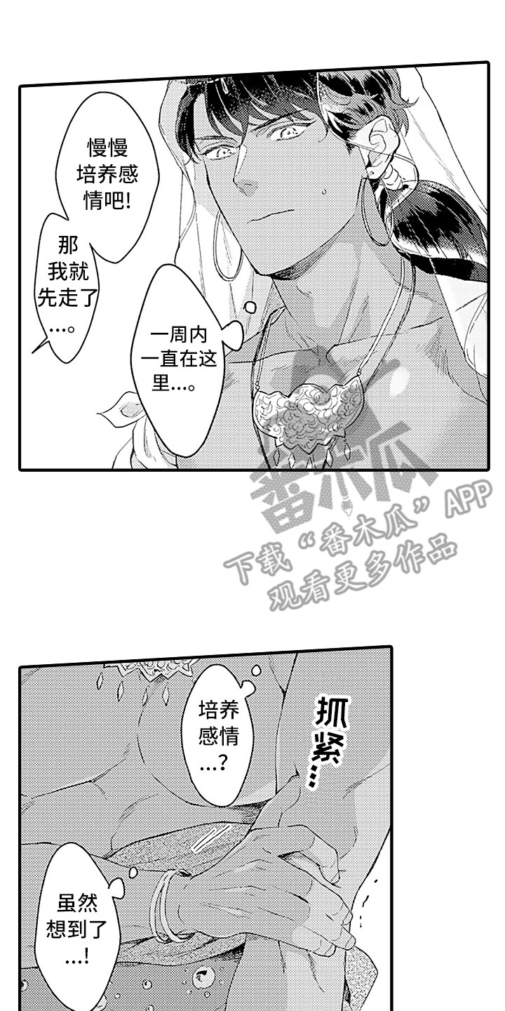 《献给鲨鱼家族》漫画最新章节第8章：觉悟免费下拉式在线观看章节第【6】张图片