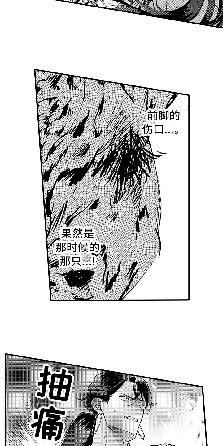 《献给鲨鱼家族》漫画最新章节第22章：曾经那只免费下拉式在线观看章节第【4】张图片