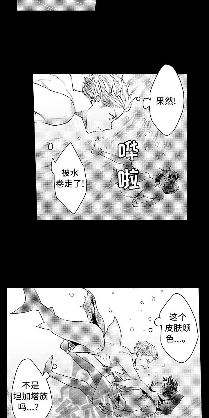 《献给鲨鱼家族》漫画最新章节第24章：想起来了免费下拉式在线观看章节第【4】张图片